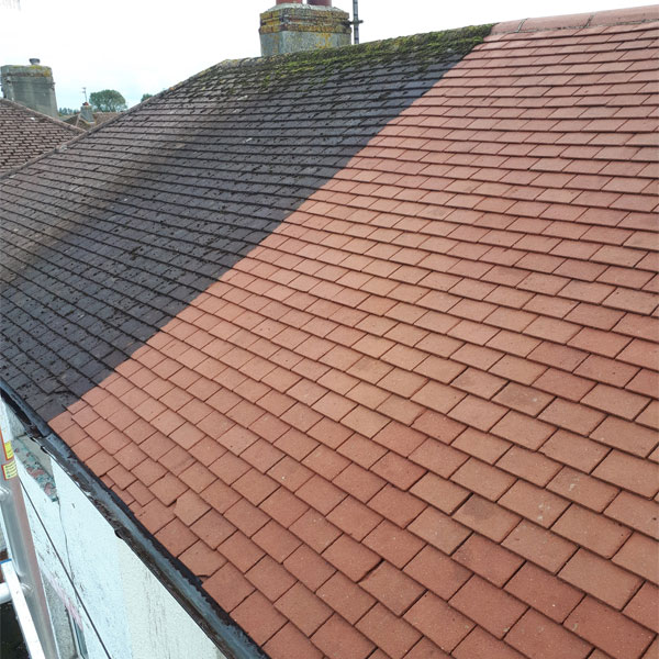 roof moss removal portsmouth
